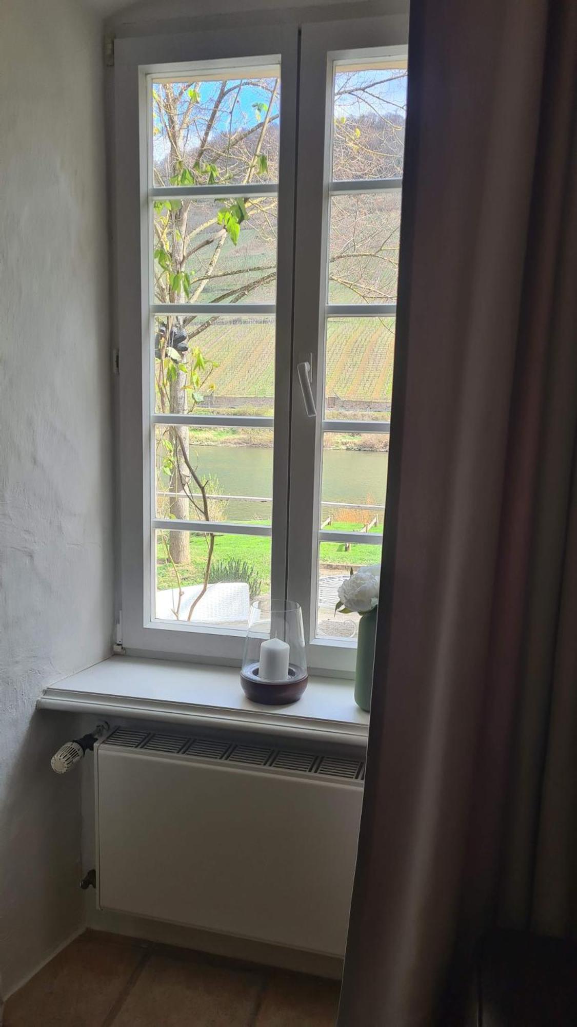 Mosel-side Reil